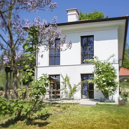 Hirschmugl Domaene Seggau Gmbh * Leibnitz