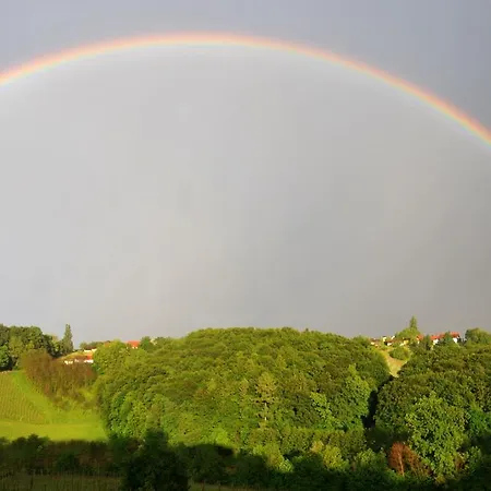 Hirschmugl Domaene Seggau Gmbh
