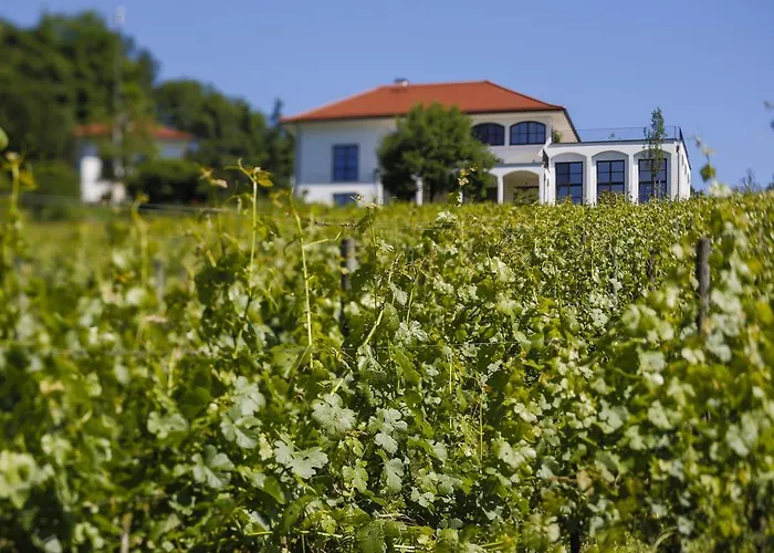 Apartment Hirschmugl Domaene Seggau Gmbh *