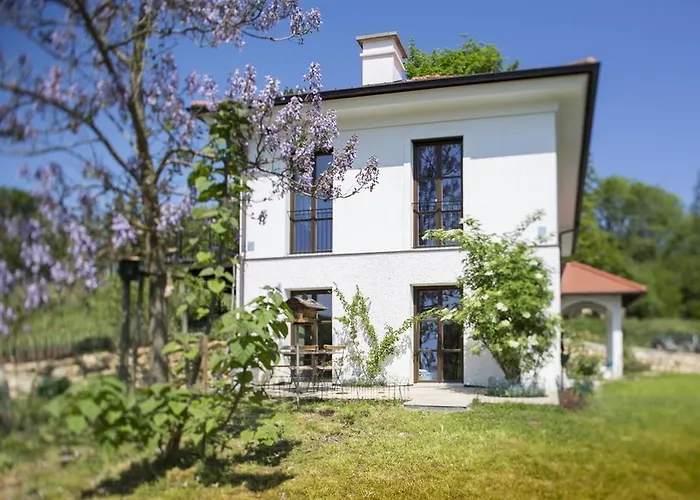 Hirschmugl Domaene Seggau Gmbh * Leibnitz