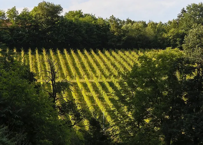 Hirschmugl Domaene Seggau Gmbh Leibnitz