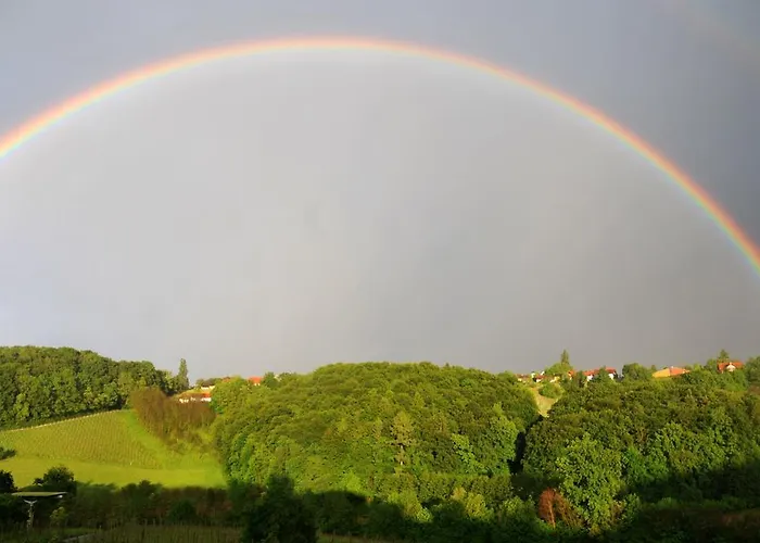 Hirschmugl Domaene Seggau Gmbh